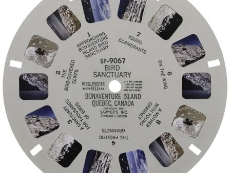 Bird Sanctuary Bonaventure Island, Quebec Canada - View-Master SP Reel - vintage - (SP-9067) Hot on Sale