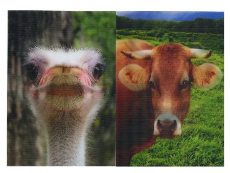 2 Smiling Animals  - 2 Humorous 3D Lenticular Postcards - NEW Fashion