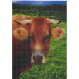 2 Smiling Animals  - 2 Humorous 3D Lenticular Postcards - NEW Fashion