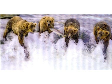 Grizzly Bears Fishing - 3D Lenticular Oversize-Postcard Greeting Card - NEW Supply