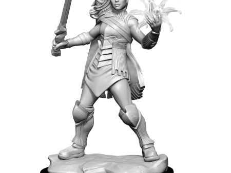 Magic the Gathering Unpainted Miniatures Rowan Kenrith & Will Kenrith For Sale