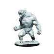 Critical Role Unpainted Miniatures Aeorian Reverser For Cheap