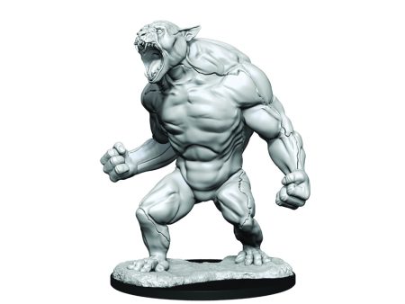 Critical Role Unpainted Miniatures Aeorian Reverser For Cheap