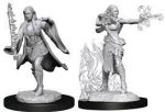 D&D Nolzur s Marvelous Unpainted Miniatures Multiclass Warlock + Sorcerer Online