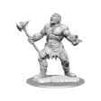 D&D Nolzurs Marvelous Unpainted Miniatures Cyclops Online now