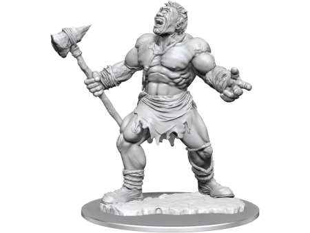 D&D Nolzurs Marvelous Unpainted Miniatures Cyclops Online now