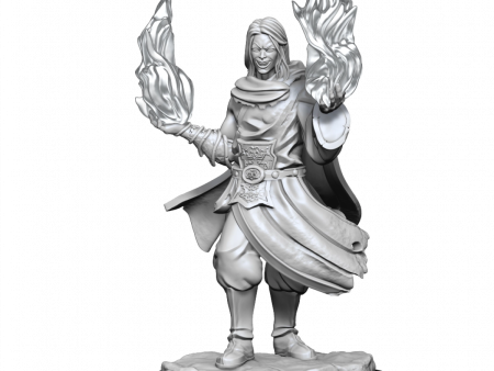 Critical Role Unpainted Miniatures Hollow One Rogue and Sorceror Male Online