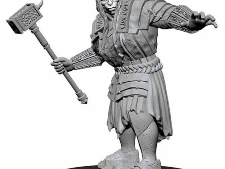 D&D Nolzurs Marvelous Unpainted Miniatures Fire Giant Cheap